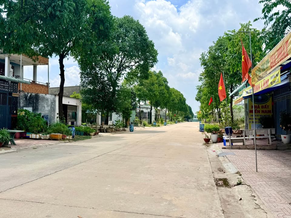 Ảnh 2